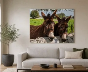 Tableau sur plexiglas Ânes
