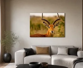 Tableau sur plexiglas Antilope