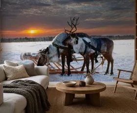 Papier peint photo Arctique