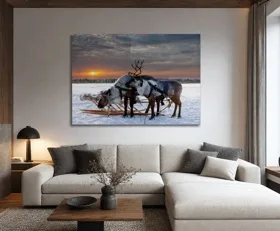 Tableau sur plexiglas Arctique