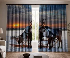 Rideaux Arctique