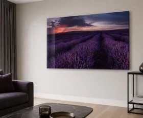 Tableau sur plexiglas Aubergine
