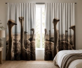 Rideaux Autruche