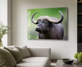 Tableau sur plexiglas Buffle