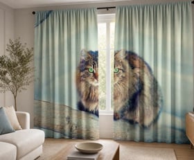 Rideaux Chat