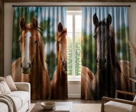 Rideaux Cheval