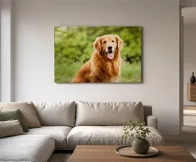 Tableau sur plexiglas Chiens