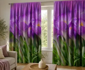 Rideaux Crocus