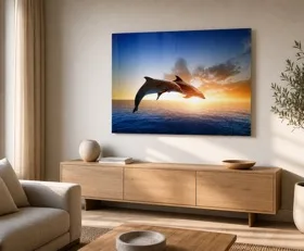 Tableau sur plexiglas Dauphin