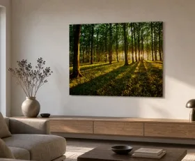 Tableau sur plexiglas Forêt