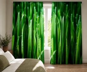 Rideaux Herbe