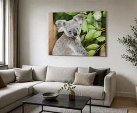 Tableau sur plexiglas Koala