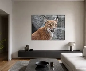 Tableau sur plexiglas Lynx