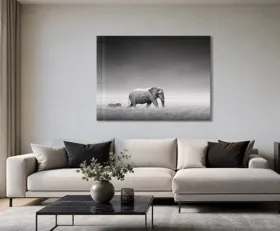 Tableau sur plexiglas Noir et blanc