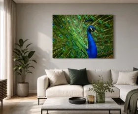 Tableau sur plexiglas Paon