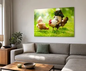 Tableau sur plexiglas Poules