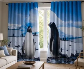 Rideaux Région antarctique