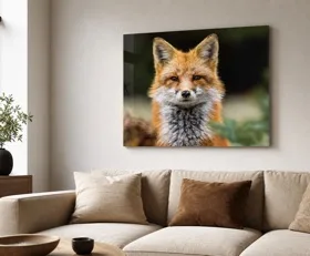Tableau sur plexiglas Renard