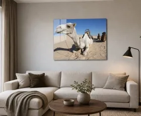 Tableau sur plexiglas Tunisie