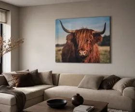 Tableau sur plexiglas Vache des Highlands