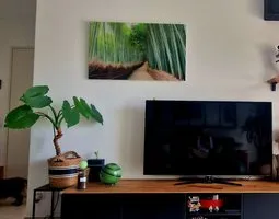 Tableau sur verre Forêt de bambous à Kyoto